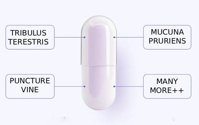 Describes the appearance of the image